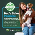 VetriScience Mobility Support Capsules for Pets - 180 Count