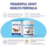 Horse Joint Supplement with MSM for Mobility