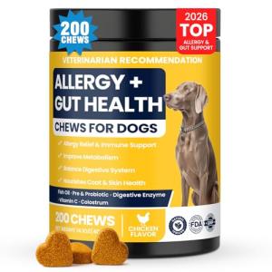 Allergy Relief Probiotic Chews for Dogs