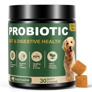 Dog Probiotics for Digestive and Skin Health