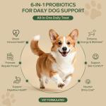 Dog Probiotics for Digestive and Skin Health