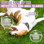 Soft Chews for Dog Anal Gland Support 150ct