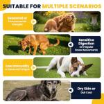 Allergy Relief Probiotic Chews for Dogs