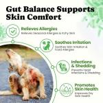 Dog Probiotics Powder for Digestive and Gut Health
