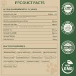 Dog Probiotics for Digestive and Skin Health