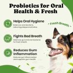 Dog Probiotics Powder for Digestive and Gut Health