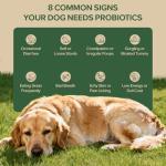 Dog Probiotics for Digestive and Skin Health