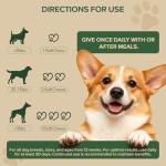 Dog Probiotics for Digestive and Skin Health