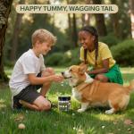 Dog Probiotics for Digestive and Skin Health