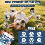 SnazFirst Dog Probiotics Chews for Digestive Health
