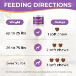 Pork Flavor Probiotics for Dogs - 90 Soft Chews