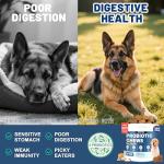SnazFirst Dog Probiotics Chews for Digestive Health