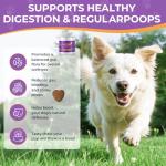 Pork Flavor Probiotics for Dogs - 90 Soft Chews