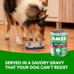 IAMS Proactive Health Wet Dog Food – Beef & Veggies