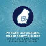 Kaytee Forti-Diet Pro Health Hamster & Gerbil Food