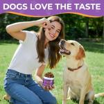 Pork Flavor Probiotics for Dogs - 90 Soft Chews