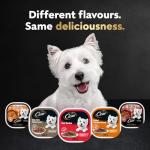 Cesar Home Delights Wet Dog Food Variety Pack