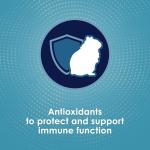 Kaytee Forti-Diet Pro Health Hamster & Gerbil Food