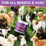 Pork Flavor Probiotics for Dogs - 90 Soft Chews