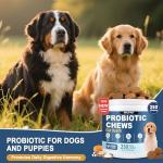 SnazFirst Dog Probiotics Chews for Digestive Health