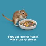 Kaytee Forti-Diet Pro Health Hamster & Gerbil Food