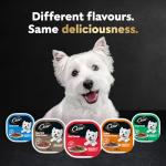 Cesar Chicken Lovers Wet Dog Food Variety Pack