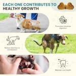 Dog Probiotics Chewable Tablets for Digestive Health