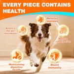 TTLXBL Probiotics for Dogs - Digestive Health Chews
