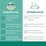 Oxbow Timothy Hay for Small Pets - 40 oz