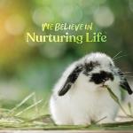 Complete Rabbit Food with Essential Vitamins, 10 lb