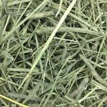 Oxbow Timothy Hay for Small Pets - 40 oz