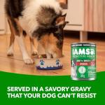 IAMS Proactive Health Wet Dog Food - Lamb & Rice