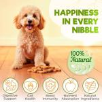 ZENOO Digestive Probiotics Chews for Dogs - 150 Pcs