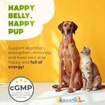 ZENOO Digestive Probiotics Chews for Dogs - 150 Pcs