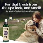 Pawfume Dog Skin & Coat Detangler Spray 2-Pack