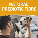 Beyond Natural Wet Dog Food Variety Pack 6 Cans