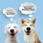 SmartBones Skin & Coat Care Chews for Dogs