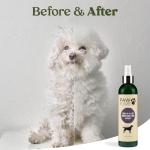 Pawfume Dog Skin & Coat Detangler Spray 2-Pack