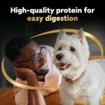 Cesar Home Delights Wet Dog Food Variety Pack