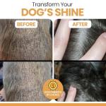 Omega-Rich Salmon Oil for Healthy Pets 32 oz