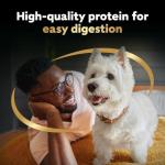 Cesar Chicken Lovers Wet Dog Food Variety Pack