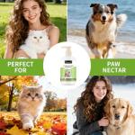 Clean Care Pet Shampoo for Dogs and Cats