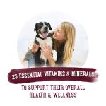 Beneful Beef Stew Wet Dog Food 8-Pack