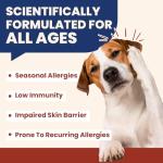 Natural Allergy Relief Chews for Dogs and Cats