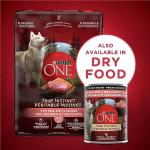 Purina ONE True Instinct Beef & Salmon Dog Food
