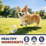 Natural Allergy Relief Chews for Dogs and Cats