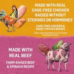 Beyond Natural Wet Dog Food Variety Pack 6 Cans