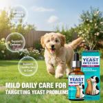 Yeast Infection Treatment for Dogs and Cats