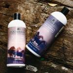 Equiderma Arnica Horse Shampoo – 32 oz