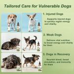 Natural Dog Antibiotic Drops - Gentle Herbal Formula